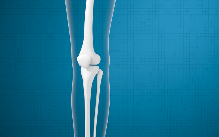 Growth Hormone Therapy and Bone Health