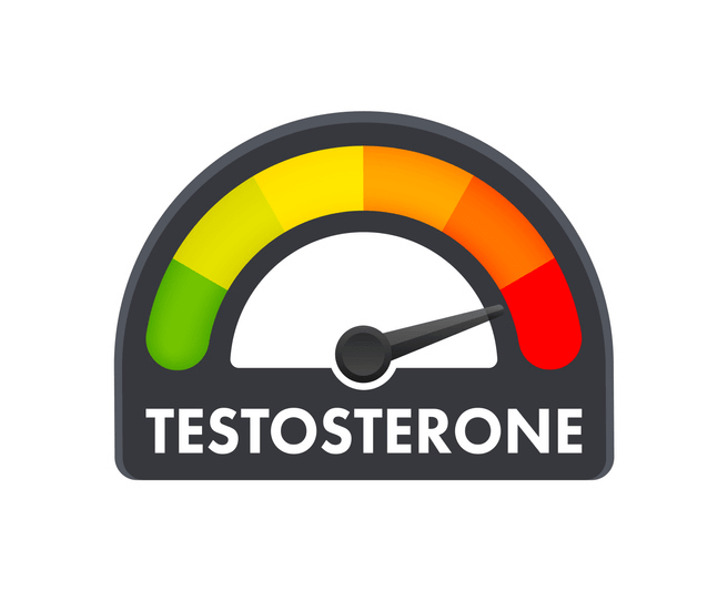 Testosterone Levels in Women