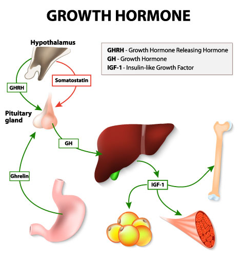case study of growth hormone