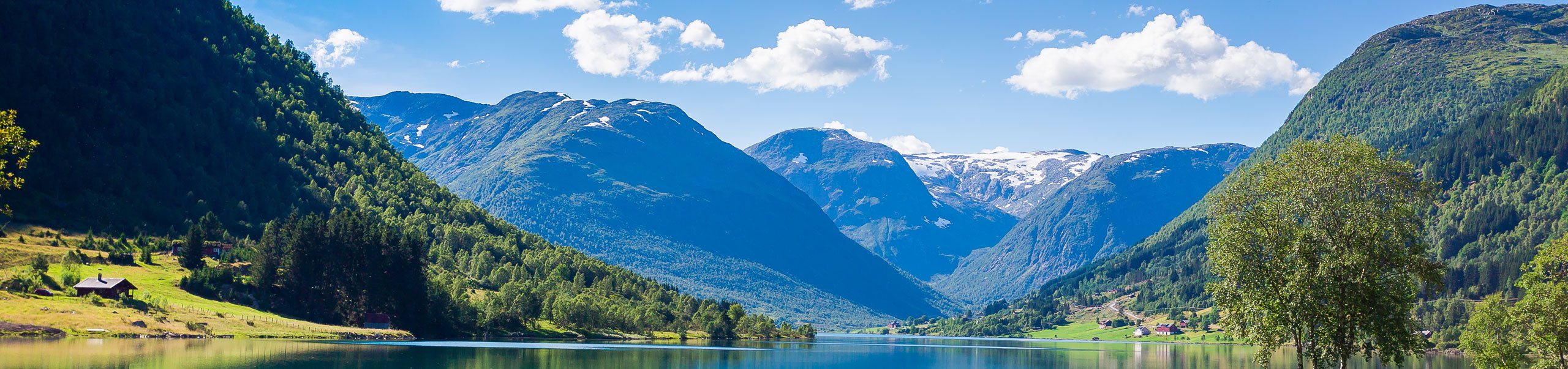 How to Treat Low Testosterone in Females - Nexel Medical